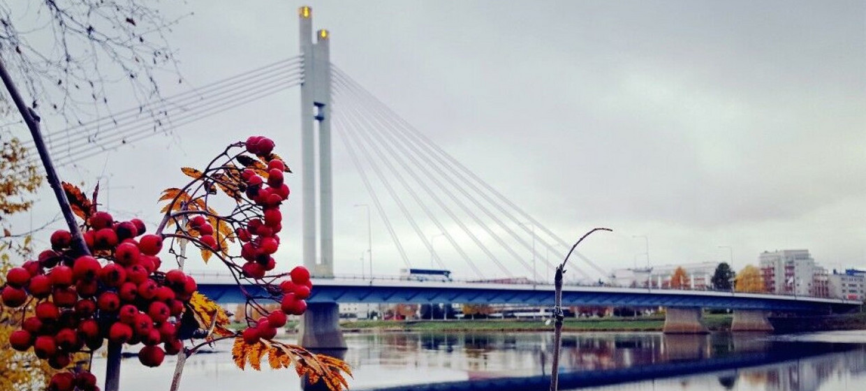 Finland to host Arctic summit in Rovaniemi in September